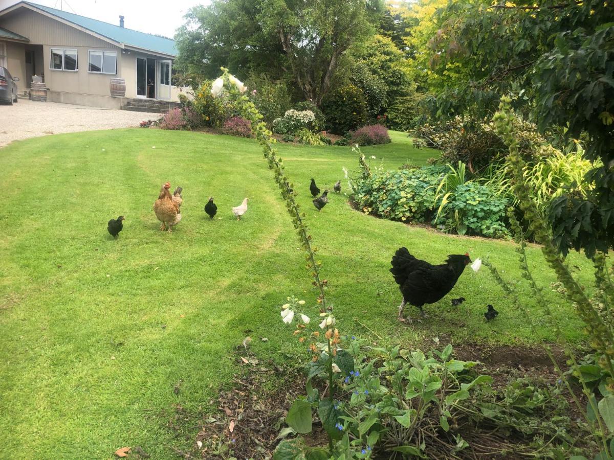 Southland Organic Farmstay Invercargill Exterior foto
